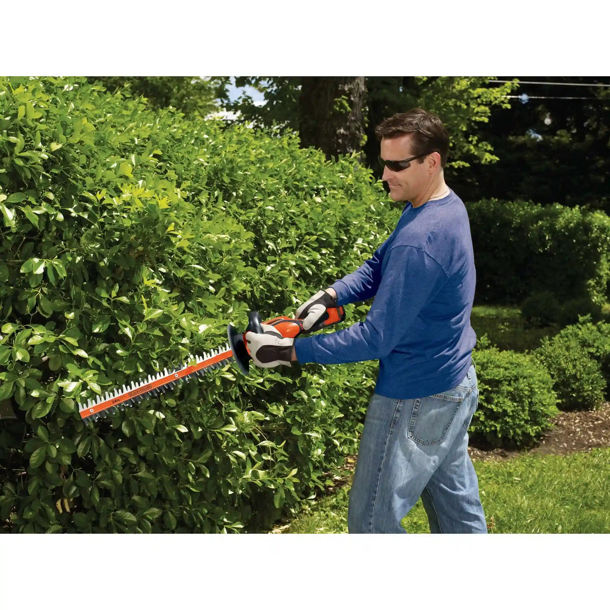 40V MAX* Cordless 24 inch Hedge Trimmer, Battery and Charger Not Included